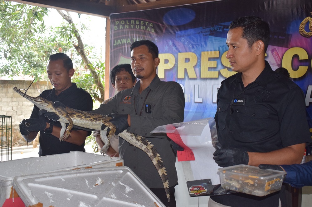 satwa banyumas2