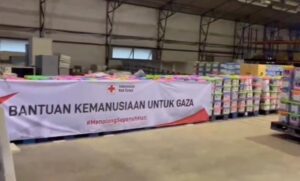 pmi palestina2