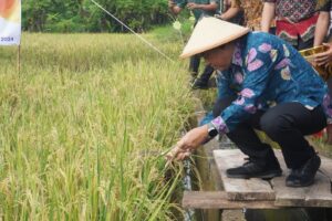 WhatsApp-Image-2024-04-25-at-17.40.43_aec4b5e3