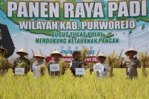 WhatsApp Image 2025-03-06 at 14.05.52_245dab0a