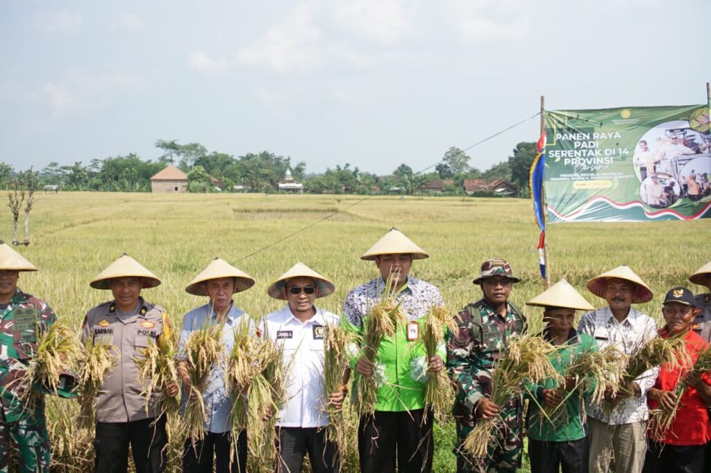 panen raya