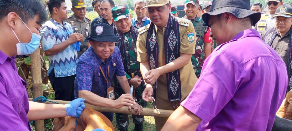 WhatsApp Image 2025-05-06 at 15.07.19_3b06d4dc