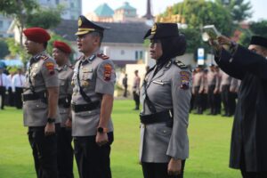 WhatsApp Image 2025-05-28 at 16.10.31_c9c09571