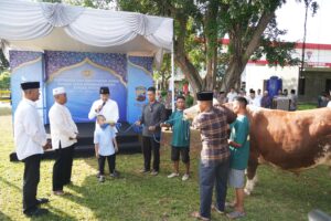 WhatsApp Image 2025-06-06 at 16.53.17_1a8242a4