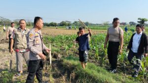 WhatsApp Image 2025-07-02 at 17.25.39_85ee7d08