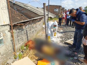 WhatsApp Image 2025-07-29 at 14.49.27_974f7265