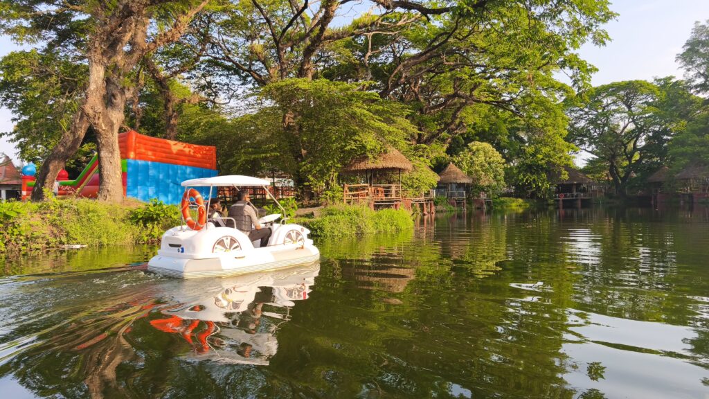 Copy of IMG_20250915_161347_1