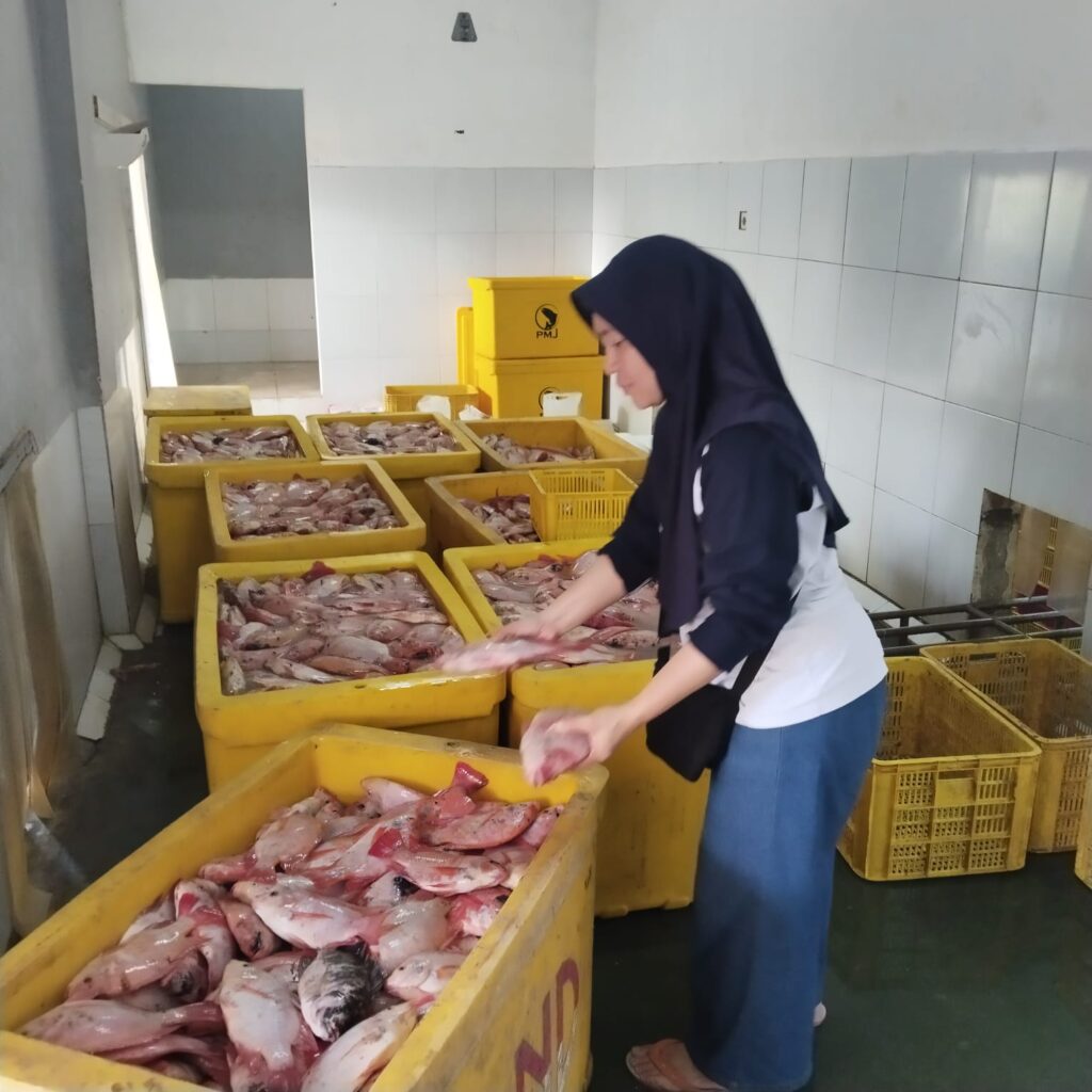 IMG-20250902-WA0077