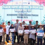 IMG-20250913-WA0027