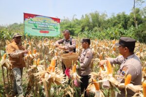 WhatsApp Image 2025-09-27 at 18.04.26_523f7ab2