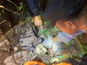 IMG-20251006-WA0035