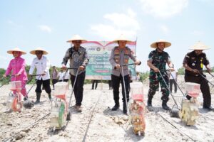 WhatsApp Image 2025-10-08 at 13.48.11_f5dcde7e