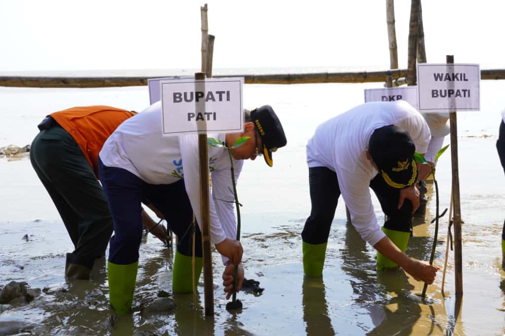 WhatsApp Image 2025-10-15 at 18.40.43_b5e677cb