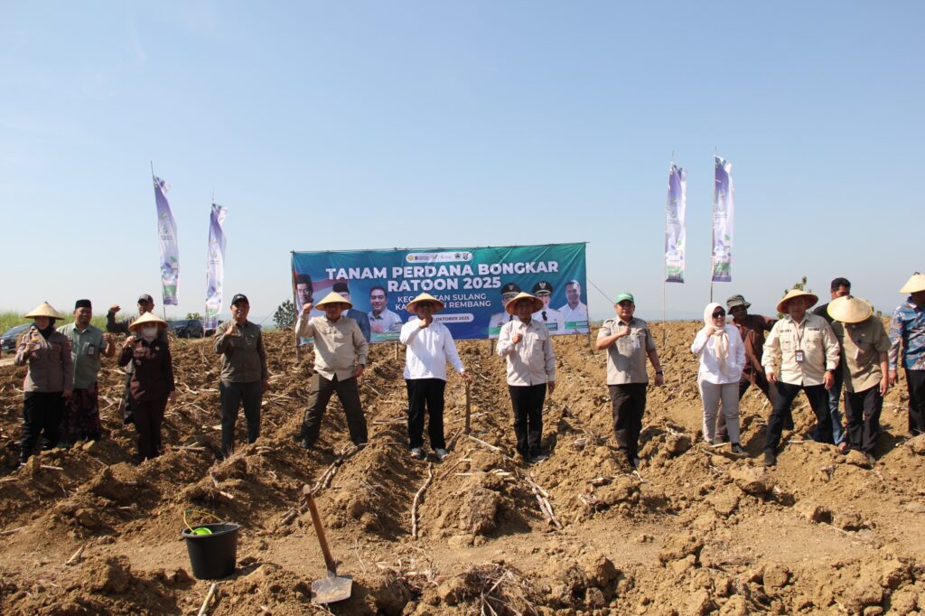 WhatsApp Image 2025-10-16 at 18.18.50_31858c58