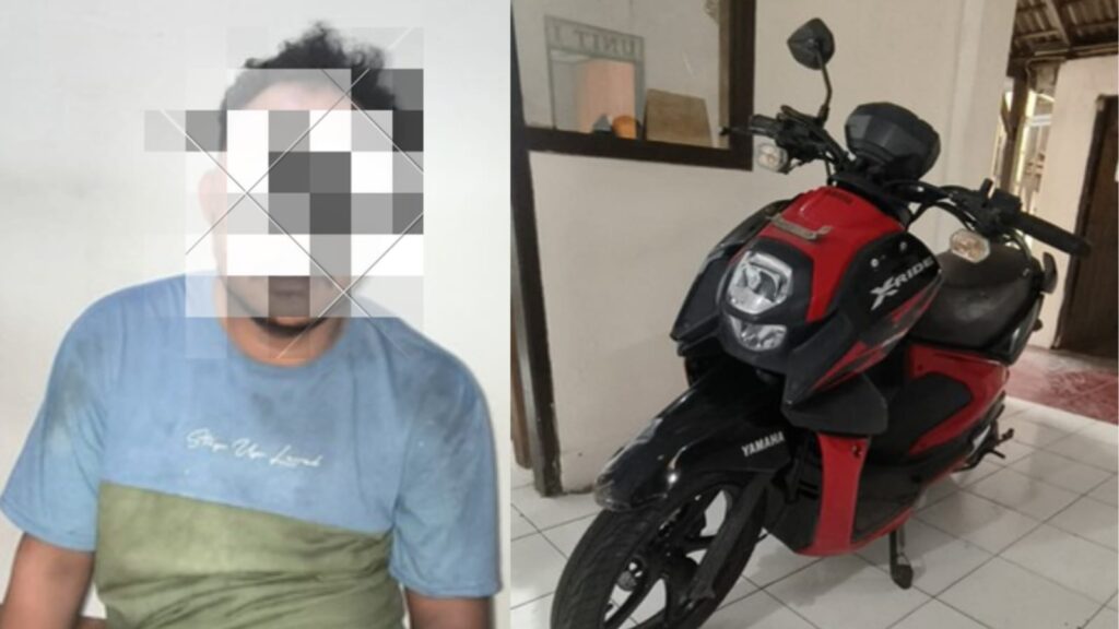 WhatsApp Image 2025-11-06 at 15.52.52_37f71e03