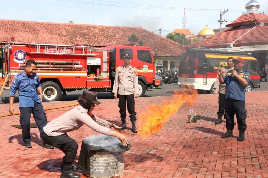 WhatsApp Image 2025-11-08 at 14.34.58_372353e1