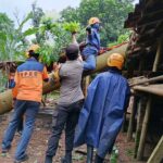 WhatsApp Image 2025-11-13 at 13.55.28_934a16dd