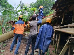 WhatsApp Image 2025-11-13 at 13.55.28_934a16dd