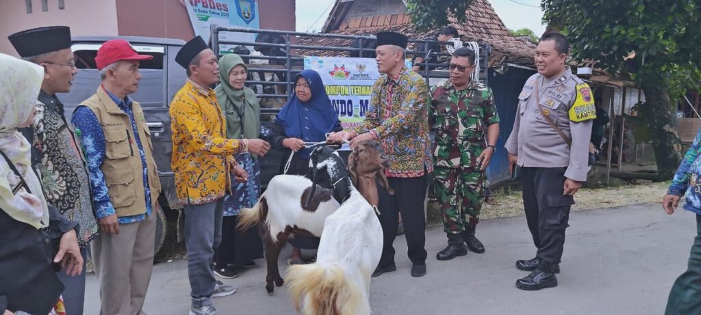 WhatsApp Image 2025-11-14 at 07.05.09_5e1b1045