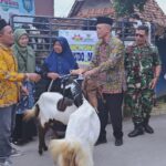 WhatsApp Image 2025-11-14 at 07.05.09_5e1b1045