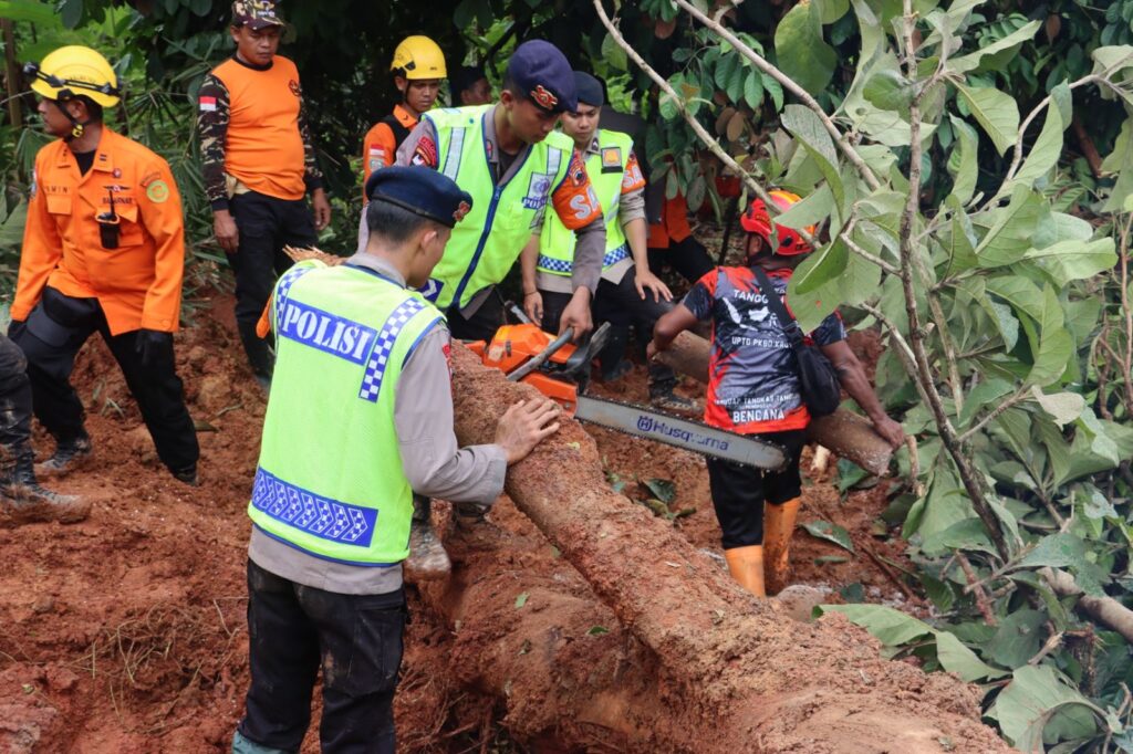 WhatsApp Image 2025-11-14 at 18.35.20_8c9c224f