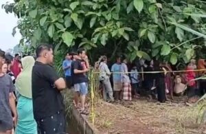 WhatsApp Image 2025-11-30 at 13.14.29_08b27b84