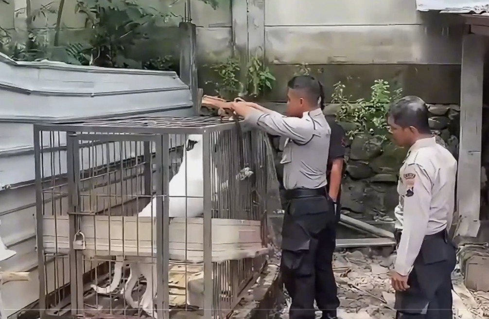 WhatsApp Image 2025-11-30 at 17.40.46_92ce64f2