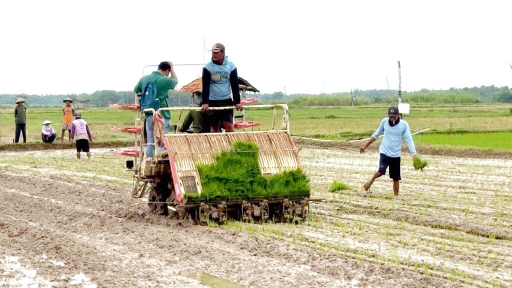 WhatsApp Image 2025-12-04 at 11.36.21_21e32650