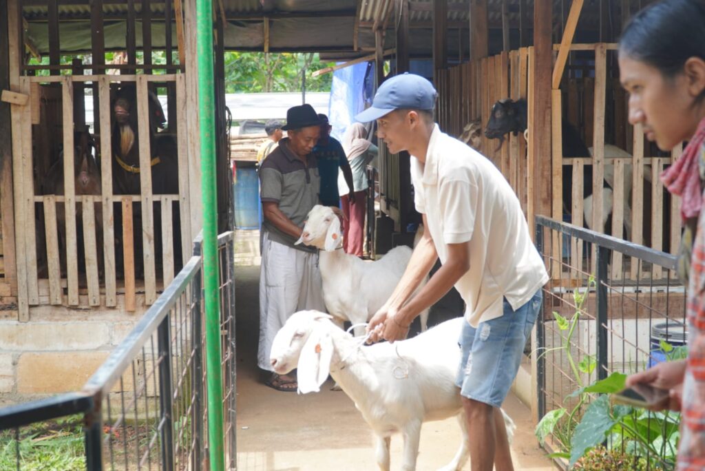 WhatsApp Image 2025-12-04 at 12.32.40_02712615