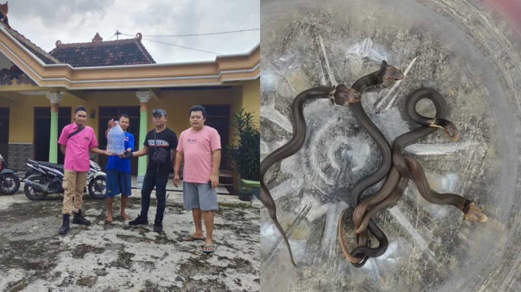 WhatsApp Image 2025-12-10 at 21.11.23_267a51c8