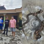 WhatsApp Image 2025-12-10 at 21.11.23_267a51c8