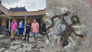 WhatsApp Image 2025-12-10 at 21.11.23_267a51c8