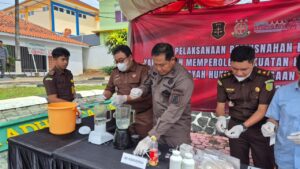 WhatsApp Image 2025-12-12 at 12.19.58_00fe0762