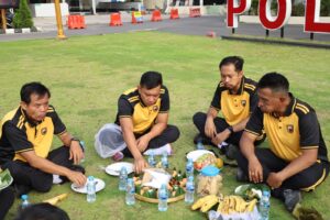 WhatsApp Image 2025-12-12 at 14.44.10_1f427226