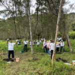 WhatsApp Image 2025-12-15 at 16.20.36_d6603f7a