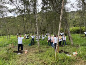 WhatsApp Image 2025-12-15 at 16.20.36_d6603f7a