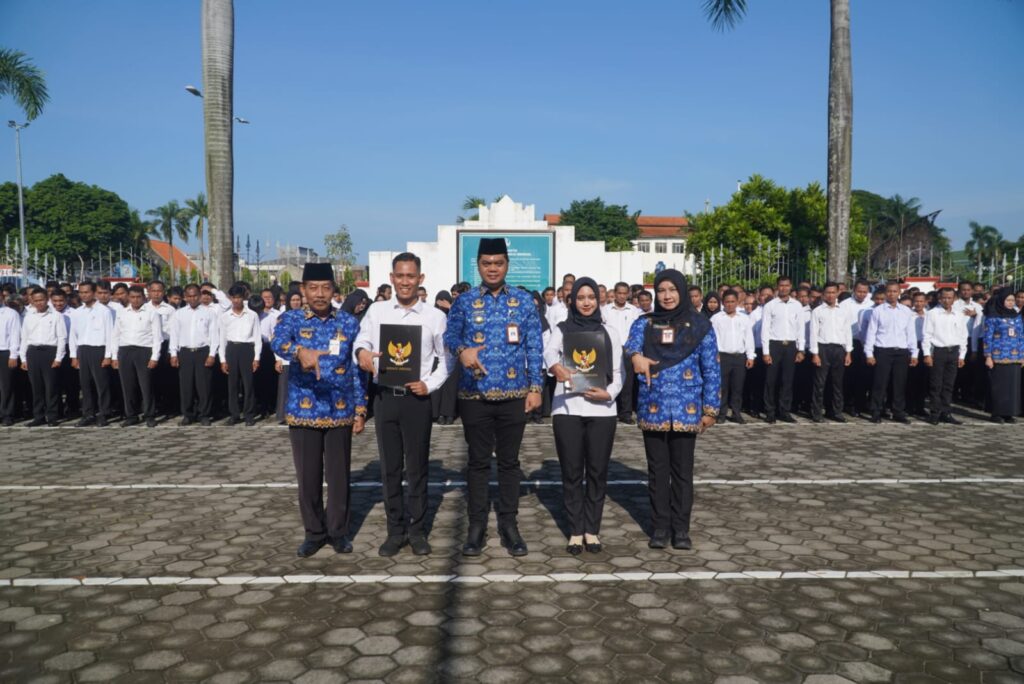 WhatsApp Image 2025-12-17 at 11.55.07_582a3ecc