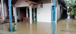 WhatsApp Image 2026-01-16 at 11.17.02