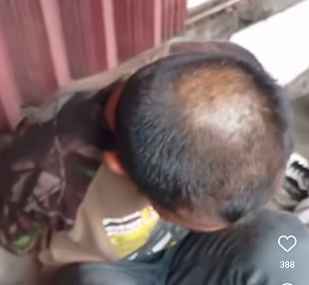 WhatsApp Image 2026-02-04 at 15.25.11