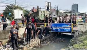 WhatsApp Image 2026-02-09 at 13.07.12