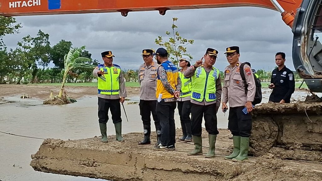 WhatsApp Image 2026-02-18 at 16.33.14