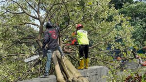 WhatsApp Image 2026-02-19 at 11.04.44