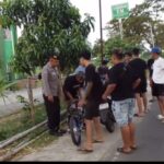 WhatsApp Image 2026-06-02 at 11.52.39