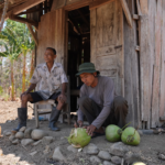 Petani Gagal Panen di Semarang Dapat Modal Tanam, JTAB Petani Gajian Beri Kepastian Harga